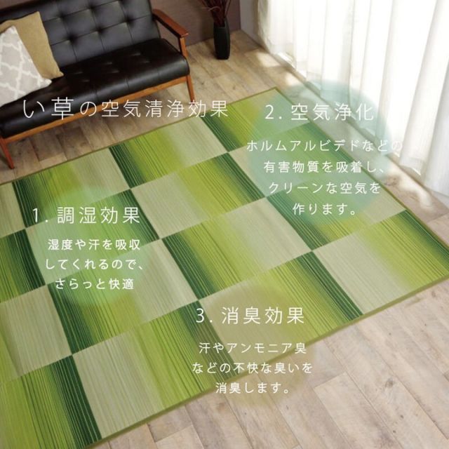 い草ラグ おしゃれ コンパクト シンプル カーペット  『DXモーセ』  約180×180cm