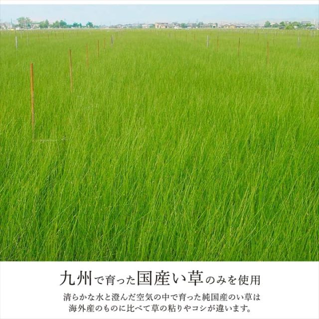 ラグ 長方形 国産 日本製 ナチュラルスタイル い草 消臭 抗菌防臭 滑り止め 防炎 市松 約191×250cm