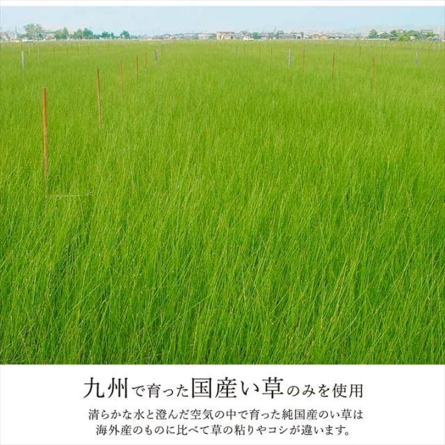 カーペット ござ 日本製 国産 敷詰 ラグ 敷物 ナチュラルスタイル い草 消臭 抗菌防臭 滑り止め 防炎 市松 江戸間3畳（約174×261cm）