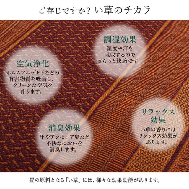 廊下 敷 敷き 国産 純国産 日本製 い草 抗菌防臭 モダン 自然素材 不織布 約80×340cm