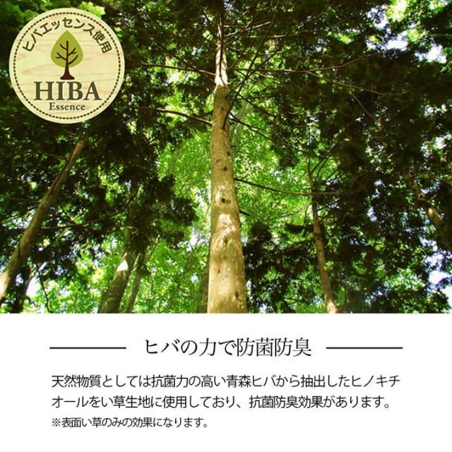 い草ラグ 花ござ カーペット 格子柄 ナチュラル シンプル 和室 洋室 裏不織布滑り止め 滑りにくい 抗菌防臭 消臭 お手入れ簡単 夏快適さらさら 団地間4.5畳 (約255×255cm）