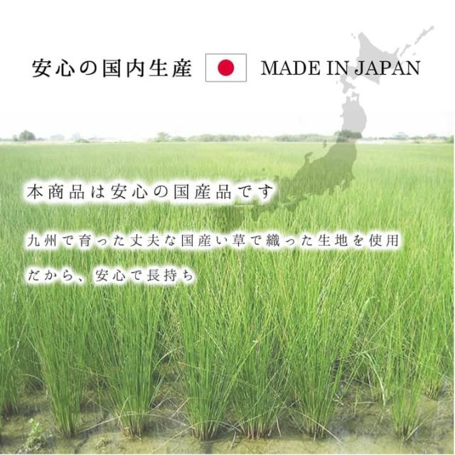ラグ 正方形 い草 自然素材 日本製 国産 レモン 消臭 抗菌防臭 約2畳 約191×191cm