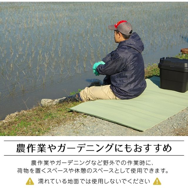 ラグ 洗える 日本製 国産 アウトドア レジャー アウトドア 和室 シンプル 江戸間6畳(約261×352cm)