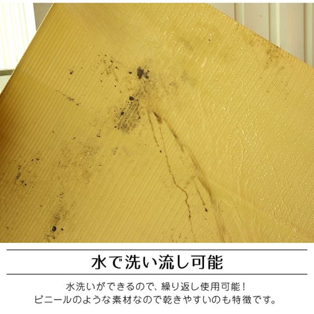ラグ 洗える 日本製 国産 アウトドア レジャー アウトドア 和室 シンプル 江戸間1畳(約87×174cm)