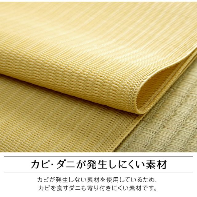 ラグ 洗える 日本製 国産 アウトドア レジャー アウトドア 和室 シンプル 江戸間1畳(約87×174cm)