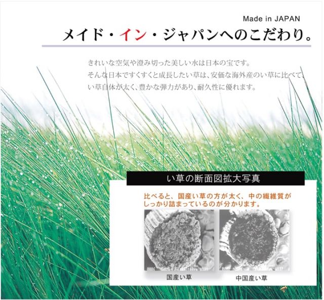 純国産 い草ラグカーペット 格子柄シンプルモダン 『Fライト』 約191×191cm