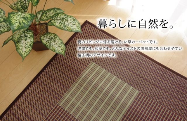 純国産 い草ラグカーペット 格子柄シンプルモダン 『Fライト』 約191×250cm