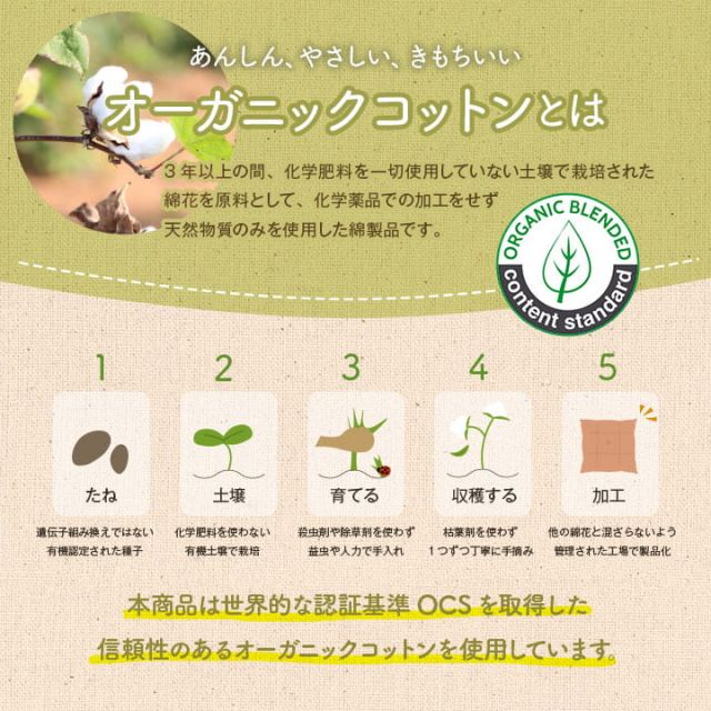 クッション シート 椅子 日本製 オーガニックコットン 綿100% ボーダー 洗える 約43×43cm