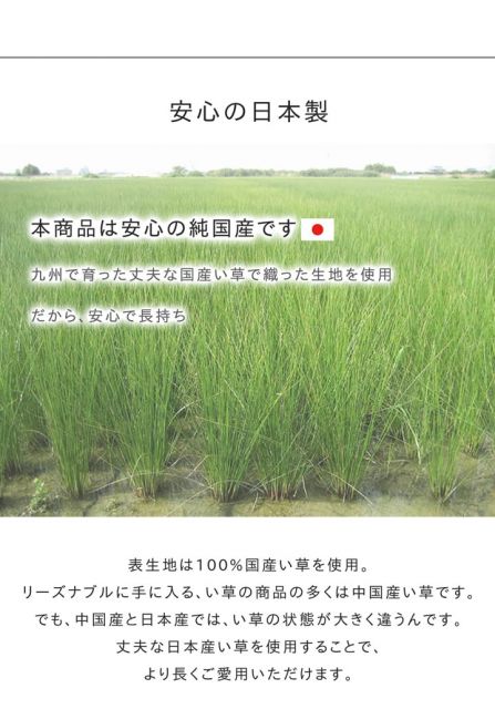 スーパSALE10倍＆4時間限定10％OFF い草ラグ　おしゃれ　国産　カーペット  『Fレパード』 約191×191cm