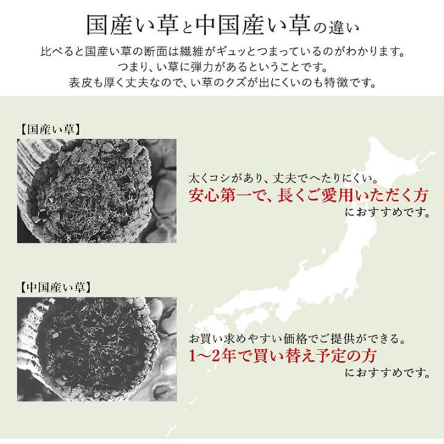 ラグ い草 国産 純国産 日本製 シンプル 無地風 抗菌防臭 自然素材 ウレタン 約140×200cm