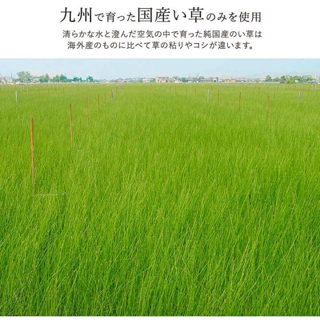 ラグ い草 国産 純国産 日本製 シンプル 無地風 抗菌防臭 自然素材 ウレタン 約191×191cm