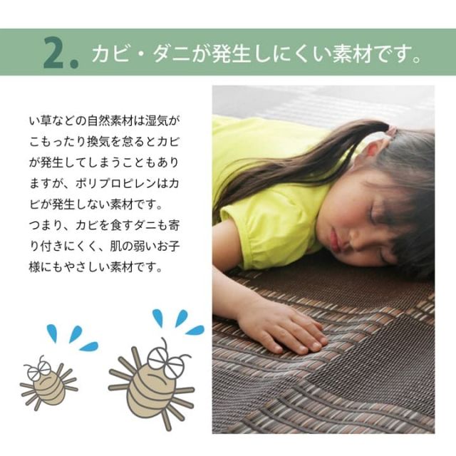ラグ  PPカーペット 『Fウィード』 江戸間4.5畳（約261×261cm）