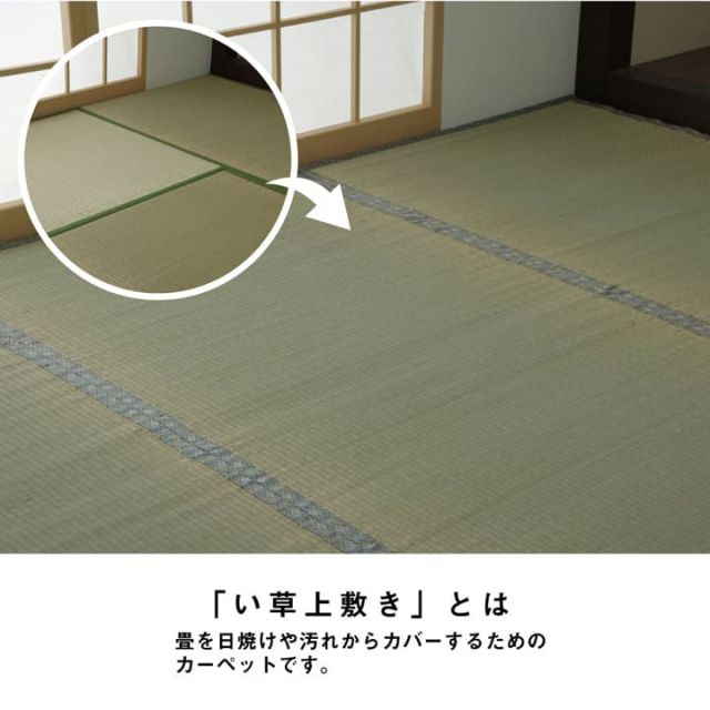 い草 上敷き カーペット 制菌 抗菌防臭 消臭 小林製薬KOBA-GUARD  江戸間2畳(約176×176cm）