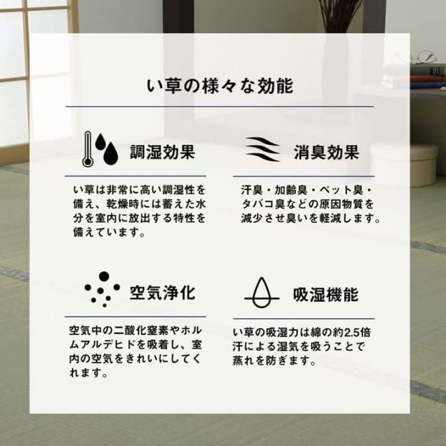 い草 上敷き カーペット 制菌 抗菌防臭 消臭 小林製薬KOBA-GUARD  江戸間3畳(約176×261cm）