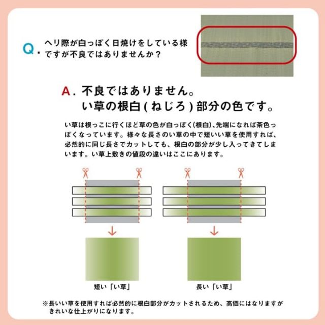 い草 上敷き カーペット 制菌 抗菌防臭 消臭 小林製薬KOBA-GUARD  江戸間3畳(約176×261cm）