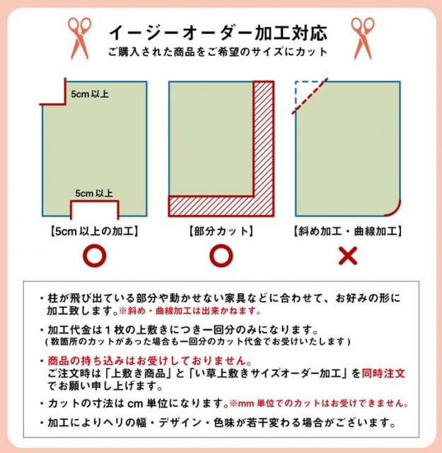 い草 上敷き カーペット 制菌 抗菌防臭 消臭 小林製薬KOBA-GUARD  江戸間4.5畳(約261×261cm）