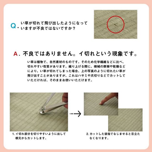 い草 上敷き カーペット 制菌 抗菌防臭 消臭 小林製薬KOBA-GUARD  江戸間4.5畳(約261×261cm）