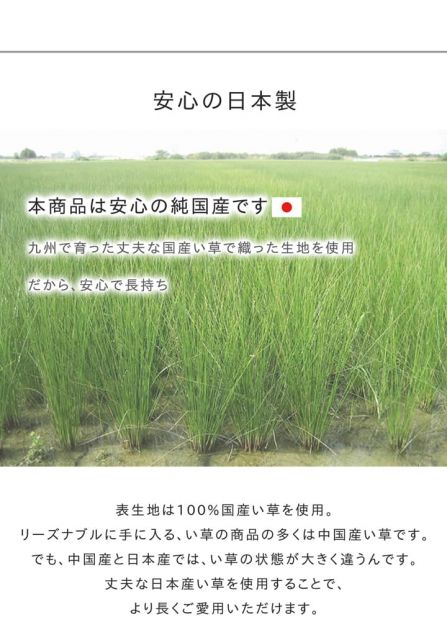 い草ラグ　おしゃれ　国産　カーペット  『Fウォール』  約191×250cm