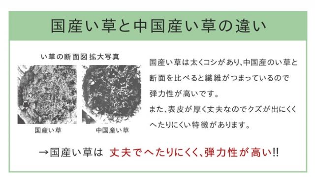 い草ラグ　おしゃれ　国産　カーペット  『Fウォール』  約191×250cm