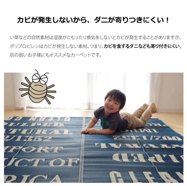タイポグラフィ 洗えるポリプロピレンラグ 『トリド』 約174×174cm