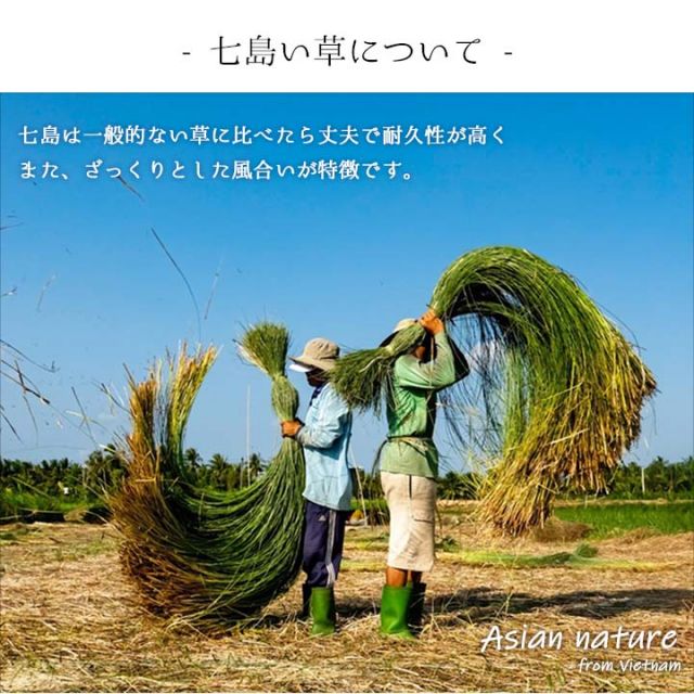 草履 紳士用 男性用 メンズ 箱付七島い草 ベトナム製 ギフト シンプル M(適応サイズ22.5?24cm)