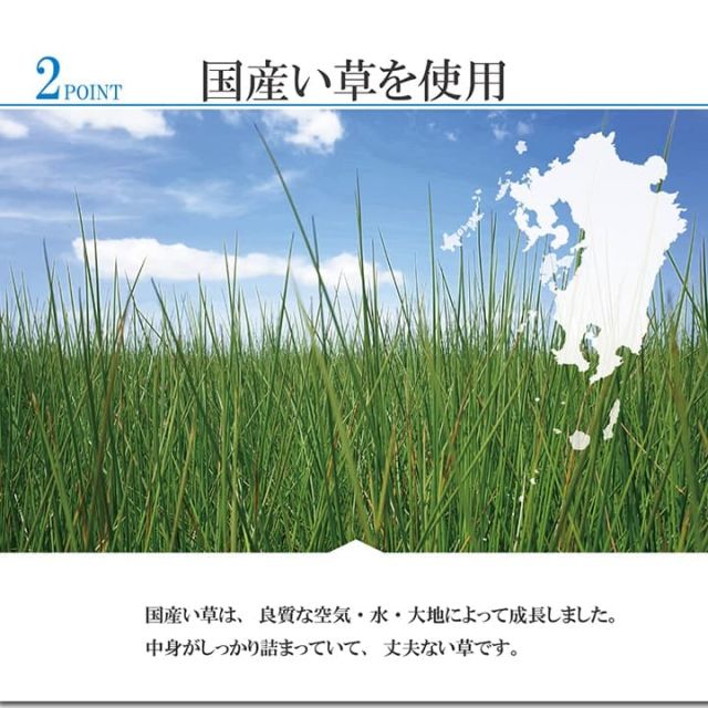 スーパSALE10倍＆4時間限定10％OFF 敷物 花ござ 国産 純国産 日本製 小林製薬 持続性抗菌剤 KOBA-GUARD 制菌 抗菌防臭  夏 い草 市松 モダン 江戸間3畳 約174×261cm