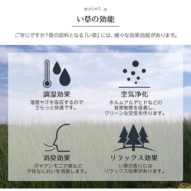 い草ラグ 裏ばり 花ござ カーペット ラグ 2畳 ギャッベ(ギャベ)柄 抗菌防臭 消臭 江戸間2畳 (約174×174cm） 裏:不織布