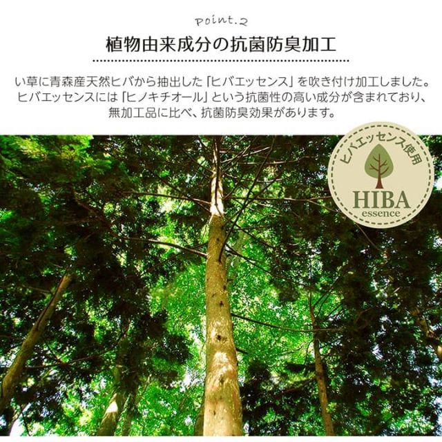 い草ラグ 裏ばり 花ござ カーペット ラグ 4.5畳 ギャッベ(ギャベ)柄 抗菌防臭 消臭 江戸間4.5畳 (約261×261cm） 裏:不織布