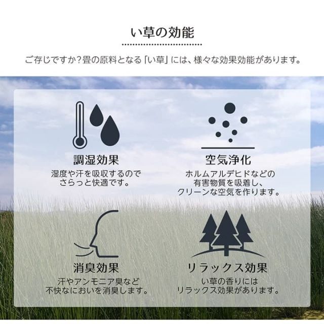 い草ラグ 花ござ カーペット ラグ 3畳 ギャッベ(ギャベ)柄 抗菌防臭 消臭 江戸間3畳 (約174×261cm）