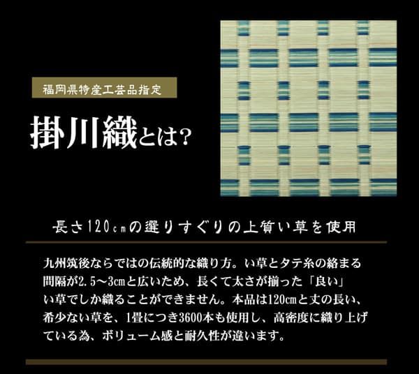 掛川織 い草カーペット 『雲仙』 江戸間4.5畳(約261×261cm)