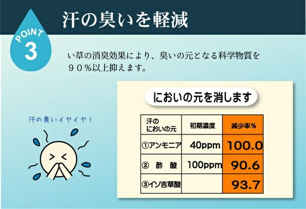 スーパSALE10倍＆4時間限定10％OFF 純国産 やわらかい草の敷きパッド 『さらさらKA ベビー敷P』 約70×120cm (中綿入り)