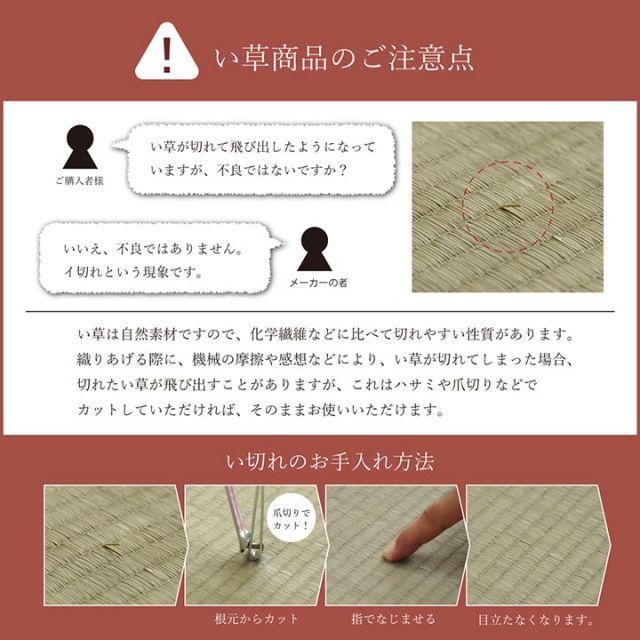スーパSALE10倍＆4時間限定10％OFF い草 い草マット 国産 マット ごろ寝マット フリーマット 和風柄 約70×180cm（中:固わた20mm）
