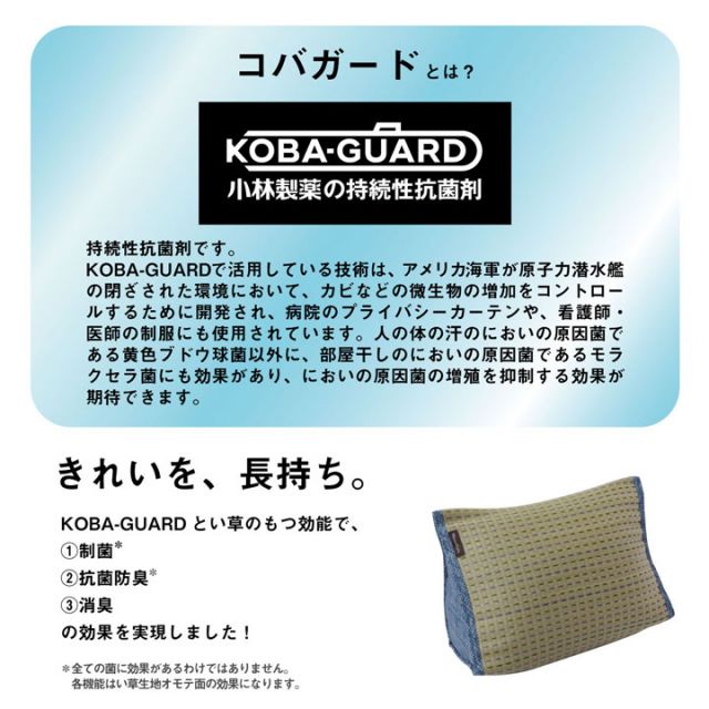 クッション くつろぎ い草 抗菌防臭 シンプル 小林製薬コバガード使用 約40×30×20cm