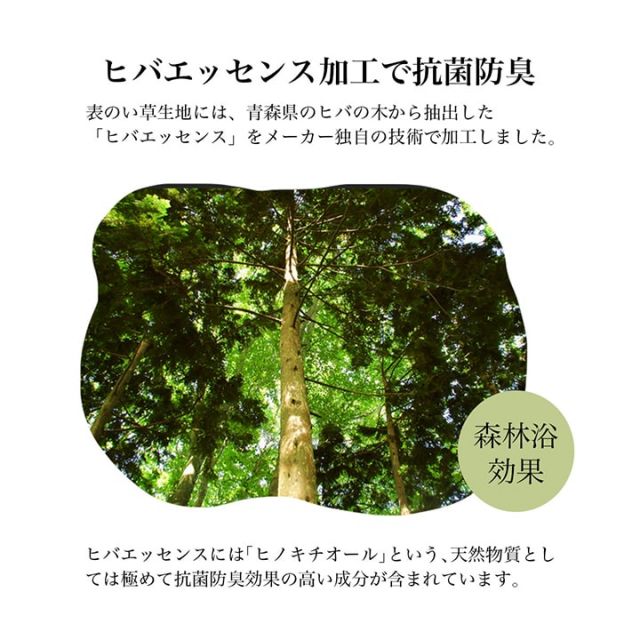 スーパSALE10倍＆4時間限定10％OFF 日本製 い草 足枕 くつろぎ 刺しゅう入り 父の日 母の日 ギフト