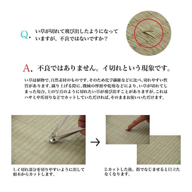 日本製 い草 い草マット  マット  ごろ寝マット  フリーマット  クッション性 和風柄   約70×180cm