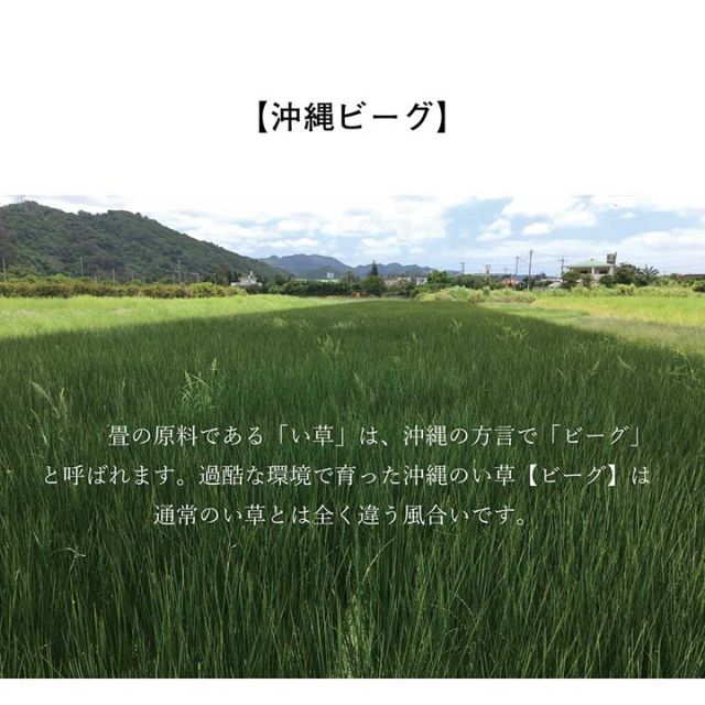 日本製 国産 純国産 沖縄ビーグ ラグ い草 約130×200cm (裏:不織布）
