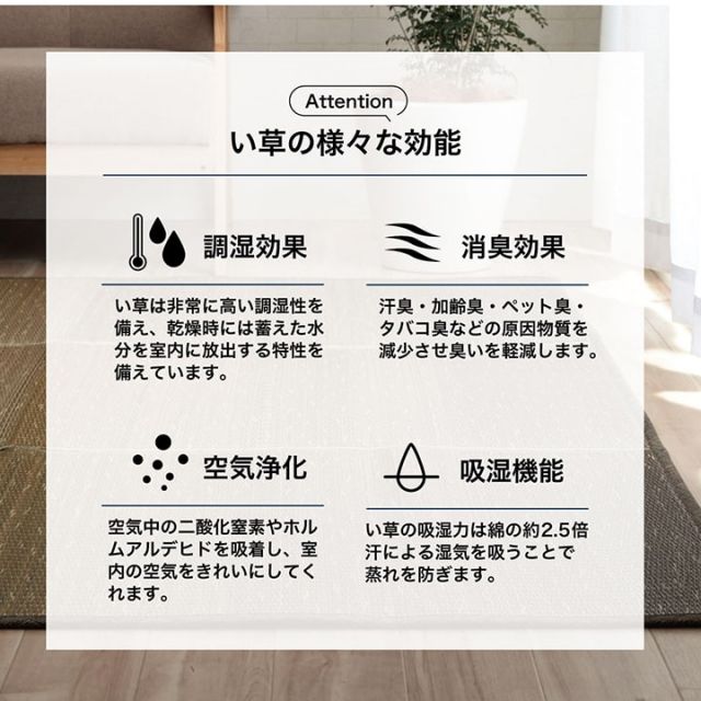 ラグ 小林製薬 持続性抗菌剤 KOBA-GUARD 制菌 抗菌防臭  滑り止め 不織布 夏 い草 グラデーション 約126×190cm