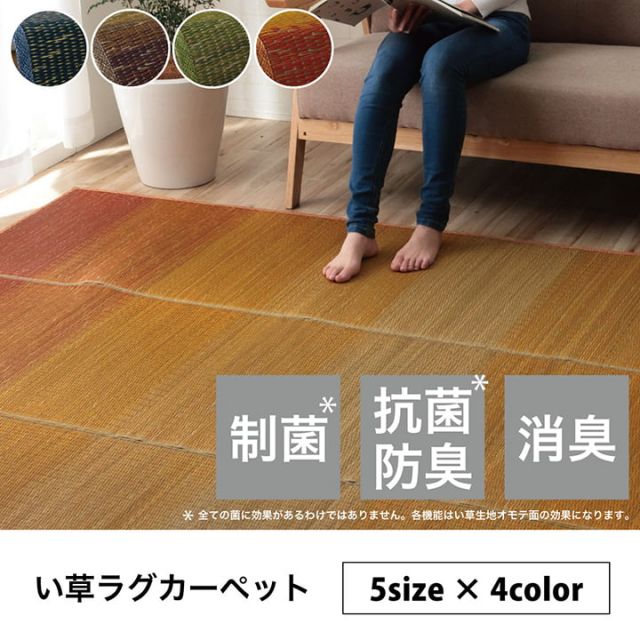 ラグ 小林製薬 持続性抗菌剤 KOBA-GUARD 制菌 抗菌防臭  滑り止め 不織布 夏 い草 グラデーション 約190×250cm