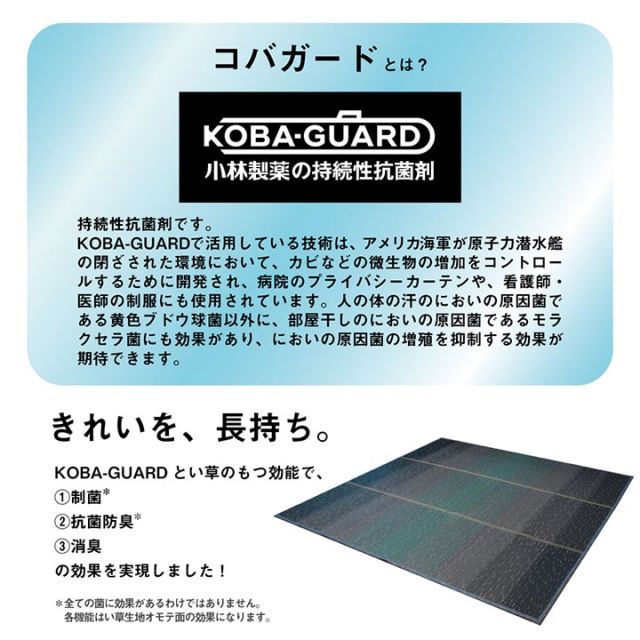 ラグ 小林製薬 持続性抗菌剤 KOBA-GUARD 制菌 抗菌防臭  滑り止め 不織布 夏 い草 グラデーション 約190×250cm