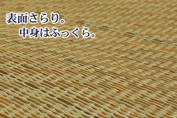 チップウレタン8mm入り い草ラグカーペット 『FCコルトNF』 約200×200cm