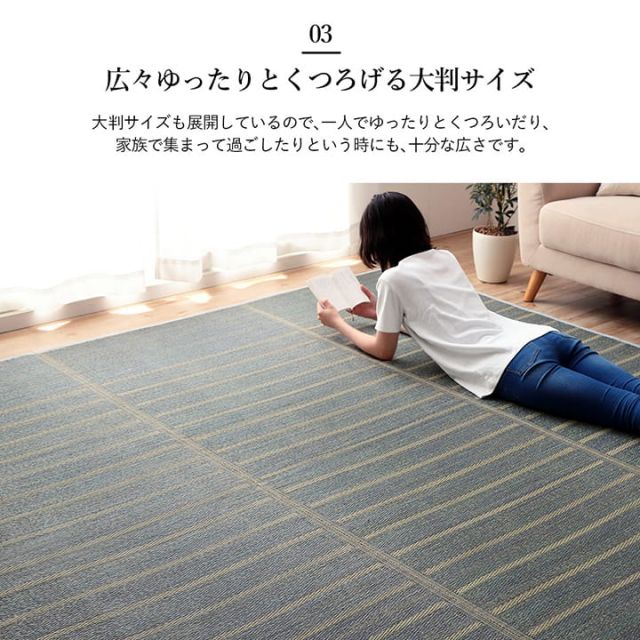 ラグ 長方形 い草 自然素材 シンプル ボーダー 裏面すべり止め付き 滑りにくい 抗菌防臭 約3畳 約180×240cm