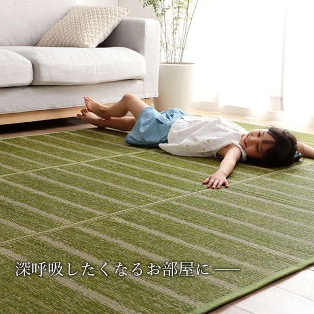 ラグ 長方形 い草 自然素材 シンプル ボーダー 裏面すべり止め付き 滑りにくい 抗菌防臭 約3畳 約180×240cm