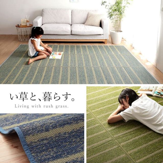 ラグ 正方形 い草 自然素材 シンプル ボーダー 裏面すべり止め付き 滑りにくい 抗菌防臭 約4.5畳 約240×240cm