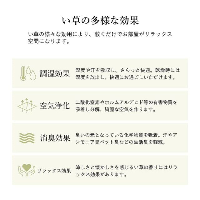 ラグ 正方形 い草 自然素材 シンプル ボーダー 裏面すべり止め付き 滑りにくい 抗菌防臭 約4.5畳 約240×240cm