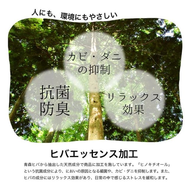 ラグ 正方形 い草 自然素材 シンプル ボーダー 裏面すべり止め付き 滑りにくい 抗菌防臭 約4.5畳 約240×240cm
