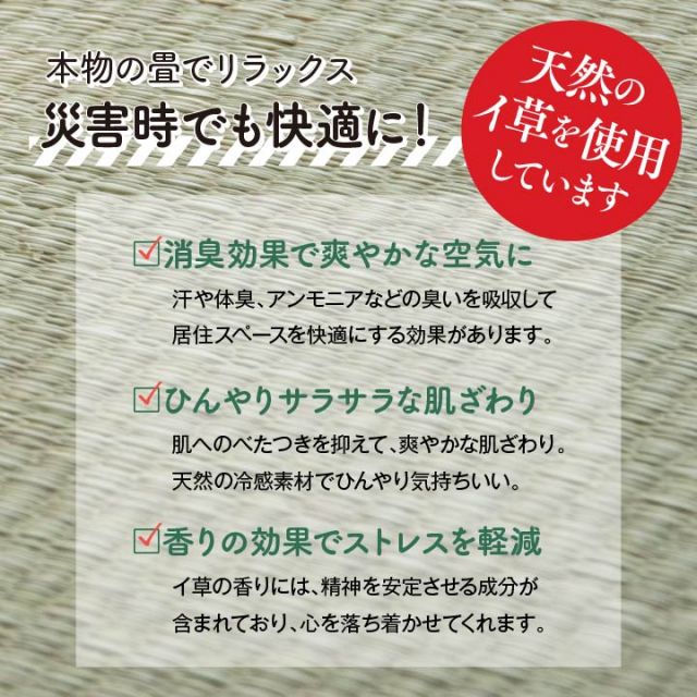 防災 避難 備え ユニット 畳 ベッド 段ボール シングル 約100×200cm 5連