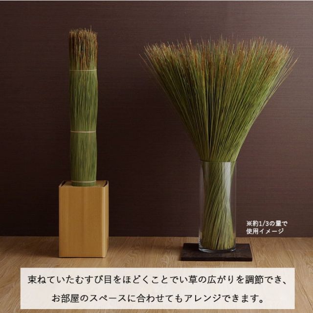 国産 日本製 い草 インテリア オブジェ 消臭 空気清浄 ナチュラル 植物 置物 95×10cm