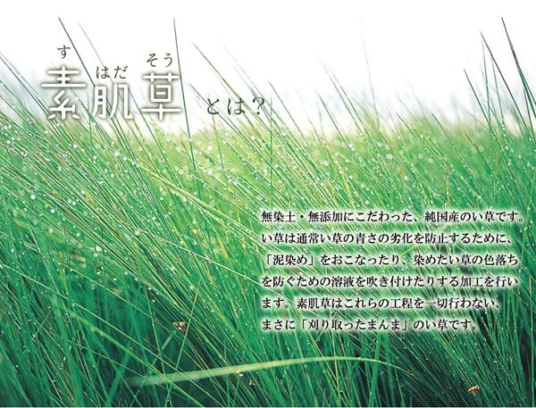スーパSALE10倍＆4時間限定10％OFF い草 い草シーツ 敷きパッド セミシングル 寝具 国産 無地 ネゴザ 寝ござ やわらか 『ひやさら 汗取P』 約88×200cm