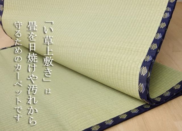 い草 上敷き い草上敷 はっ水 カーペット 無地 『撥水 湖水』 江戸間6畳(約261×352cm）