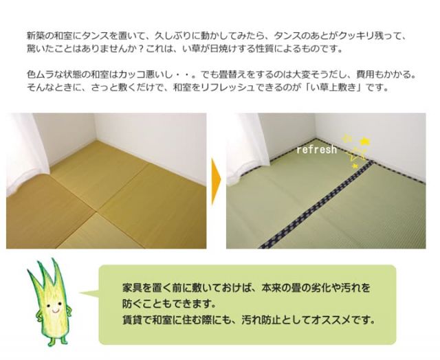 い草 上敷き い草上敷 はっ水 カーペット 無地 『撥水 湖水』 江戸間8畳(約352×352cm）